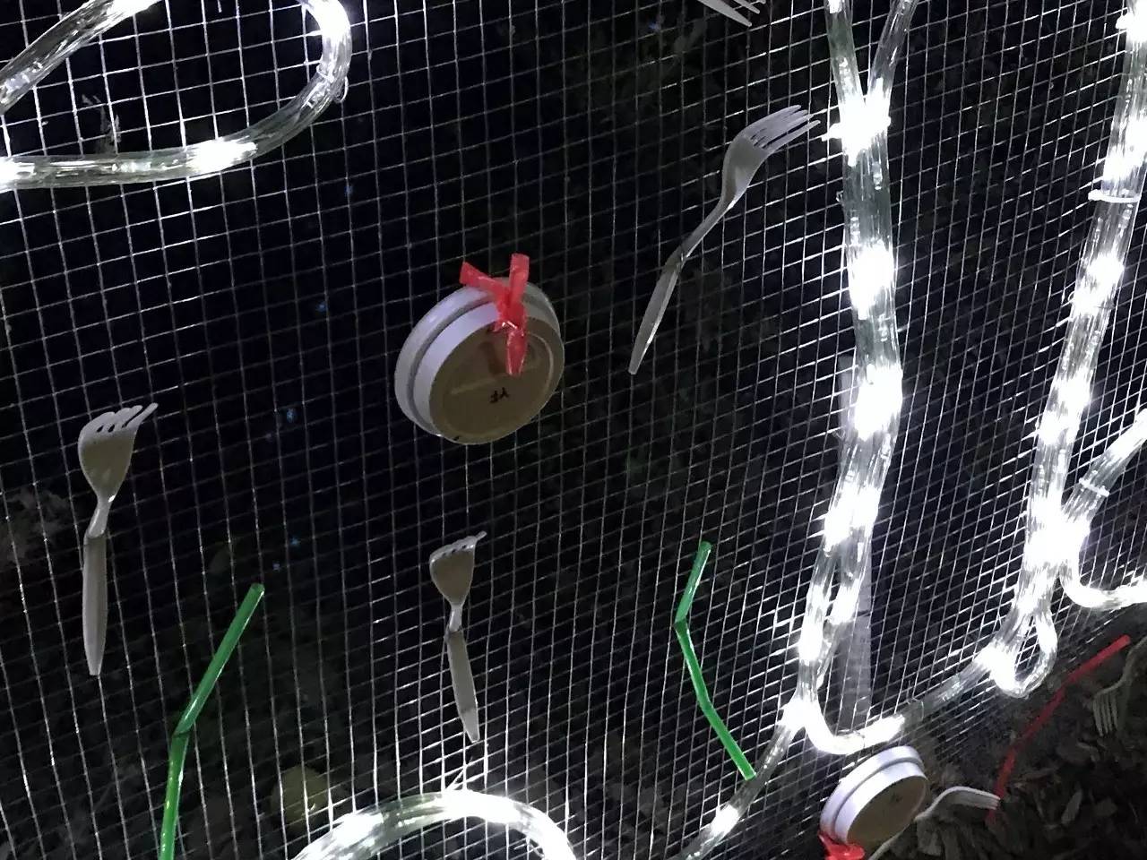 当一只“反季候鸟“,直飞到悉尼过冬天买UGG,是成都人今年暑假新玩法!