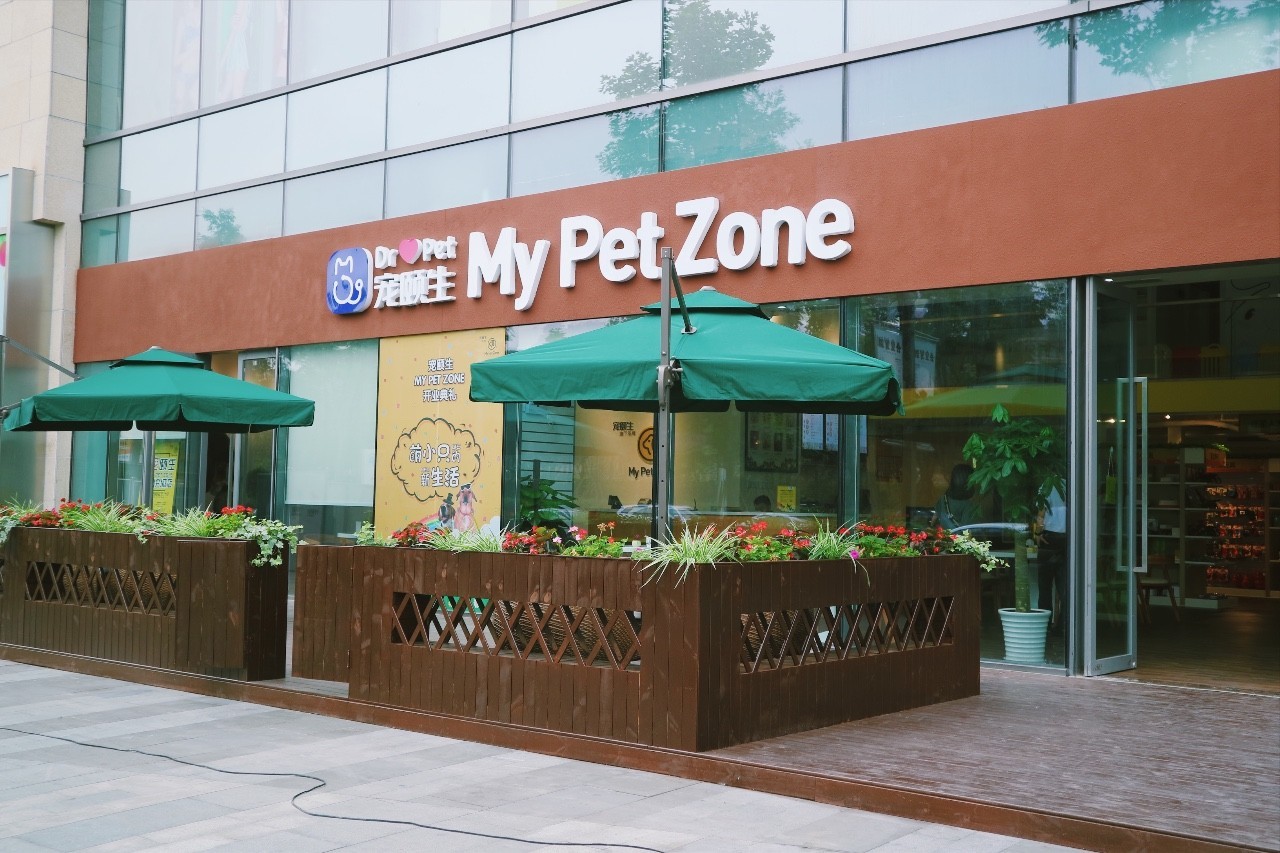 盘点十大网红萌宠,盘点全网6只网红萌宠