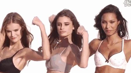 维秘秀上的大胸*党**们