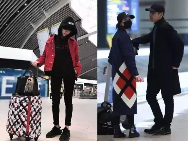 杨幂高圆圆拍摄技巧,杨幂高圆圆陈数