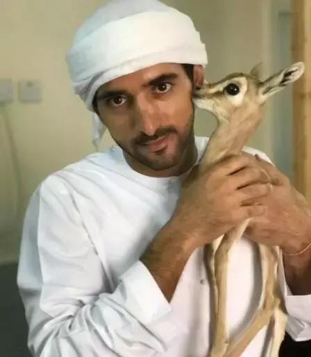 最帅迪拜王子哈曼丹,哈曼丹和威廉王子