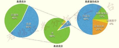 血制品中的猩红收割者，很血腥很*力暴**