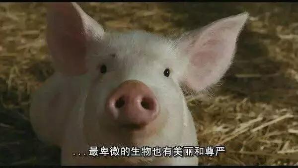 200块钱能买多少东西视频,几百块一套的护肤品有什么推荐