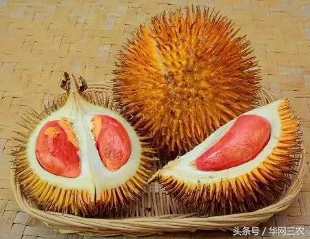 缅甸特产吃过3种算你牛？台州土特产出名啦看看有没有你老家的？网购的土特产都是家乡的味道？忻州特产？