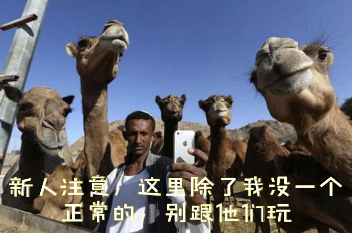 表情定制老司机，新人入群遭*戏调**，保证质量