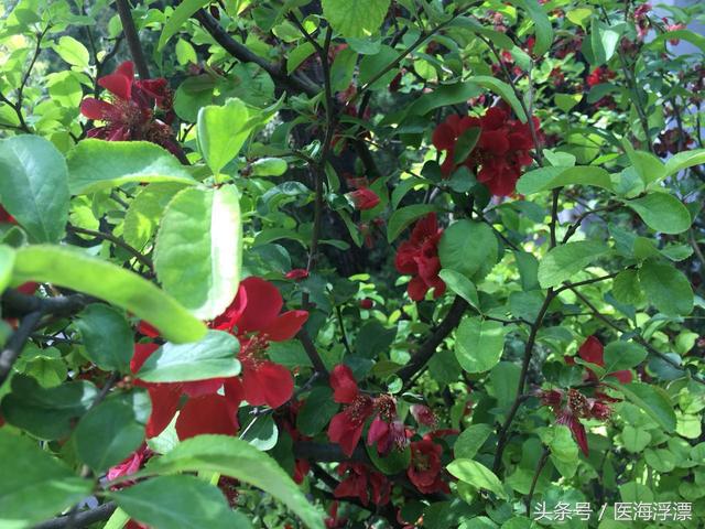 脂肪型和肌肉型训练方法,脂肪肌锻炼