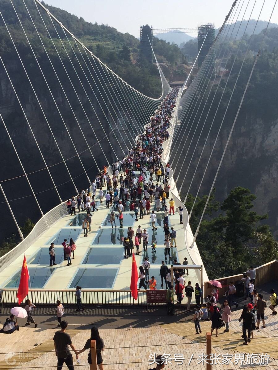 张家界旅游攻略天门山二日游费用,张家界大峡谷玻璃桥自由行