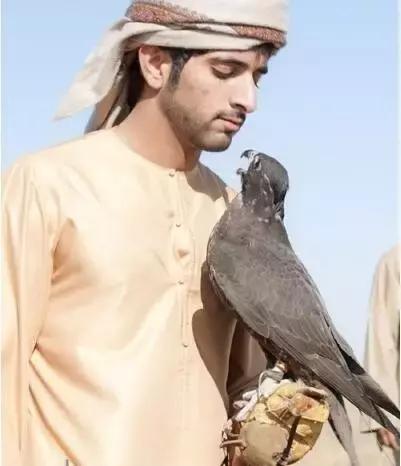 沙特最帅王子哈曼丹,阿联酋王子哈曼丹照片