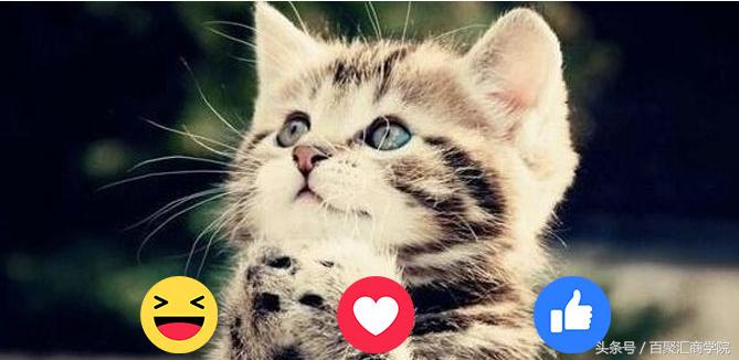 facebook鎬庝箞鎶曠エ,facebook鐩存挱鎬庝箞鎶曠エ