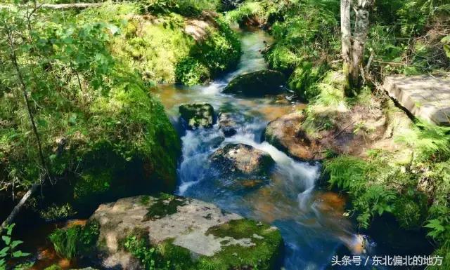 夏季黑龙江最美景区,黑龙江避暑最佳城市