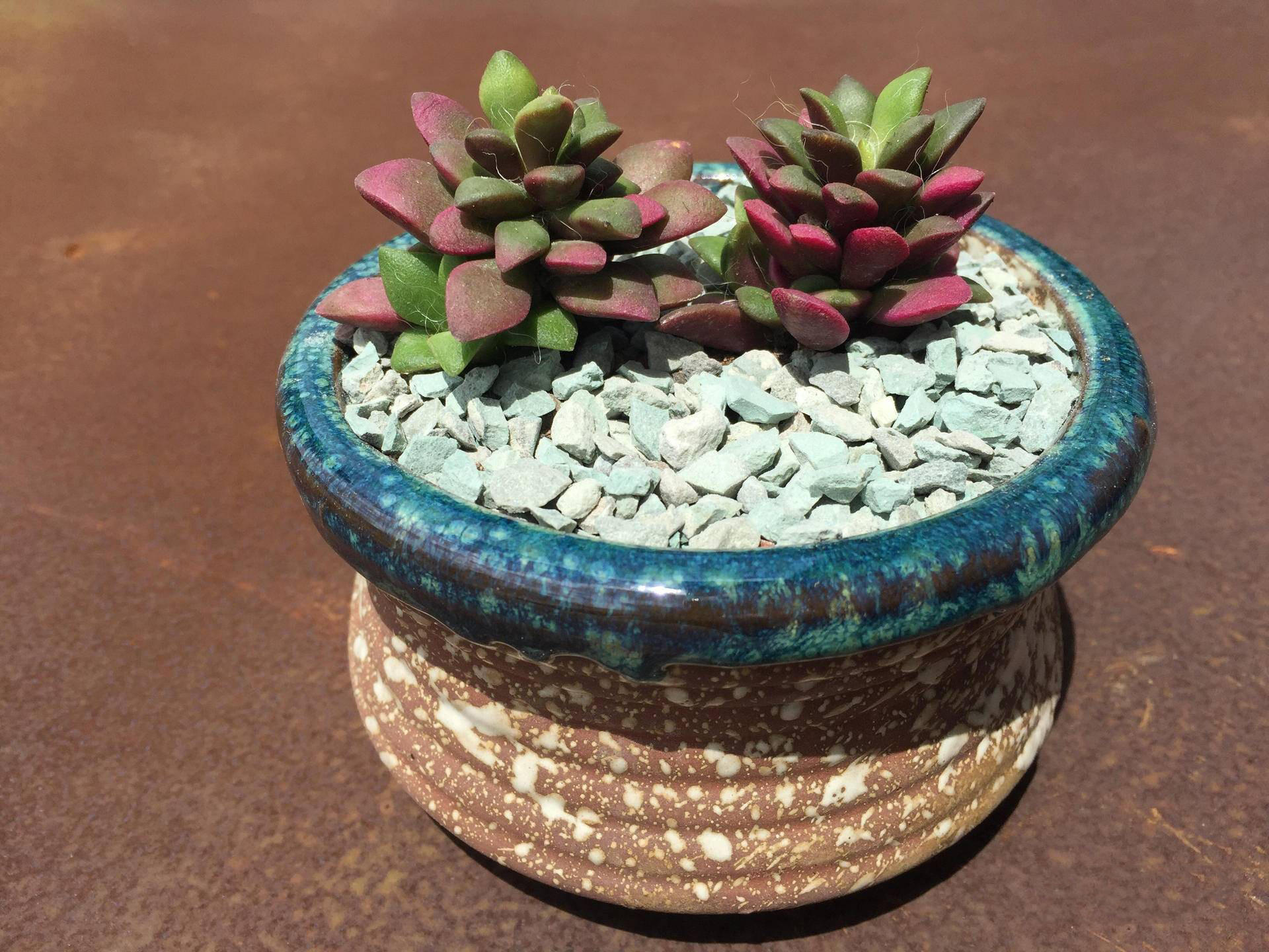 生锈的破铁门图片,生锈的铁门破了