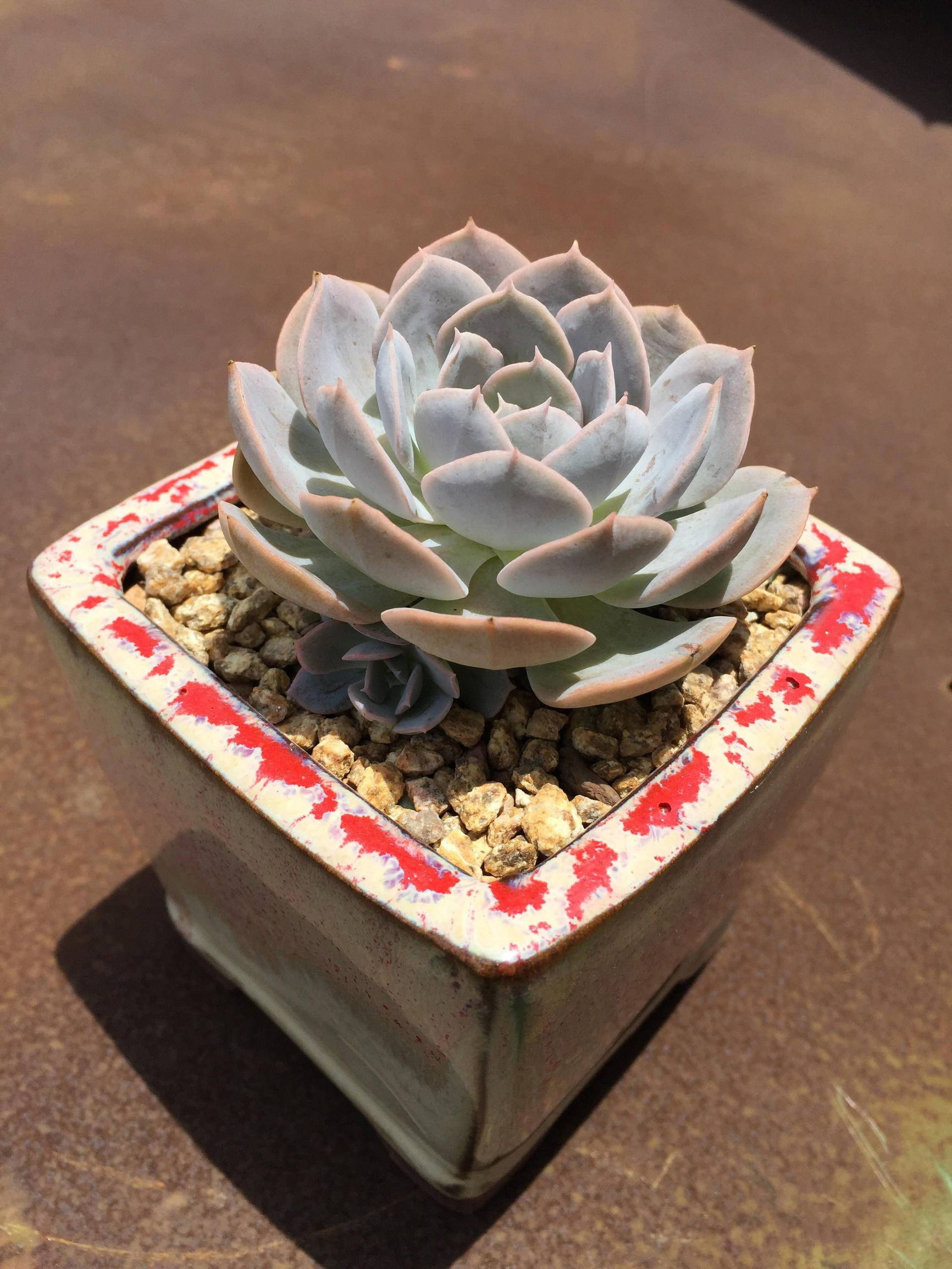 生锈的破铁门图片,生锈的铁门破了