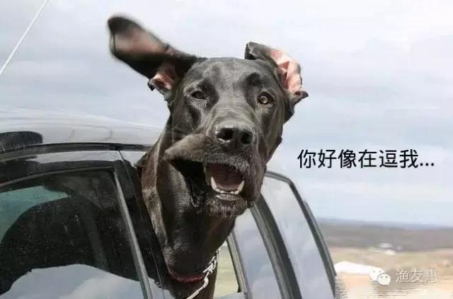 “渔乐趣事”我那幼儿园的侄子拿尼龙绳都爆护了，原因我今天算是知道了！