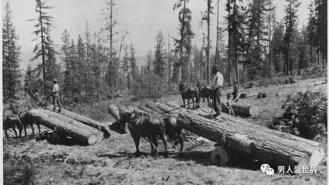 战争都是因何而起,一切战争都是靠什么推动