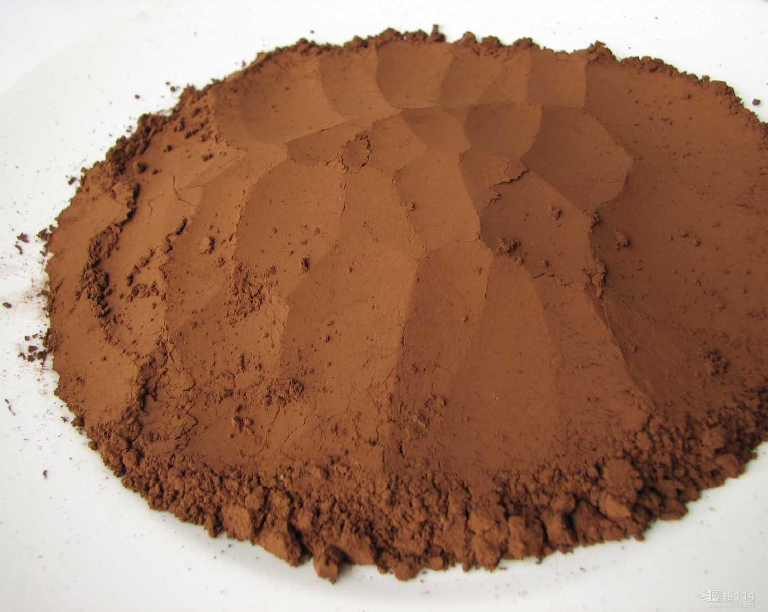 灵芝是抗癌之王,世上没有治百病的药