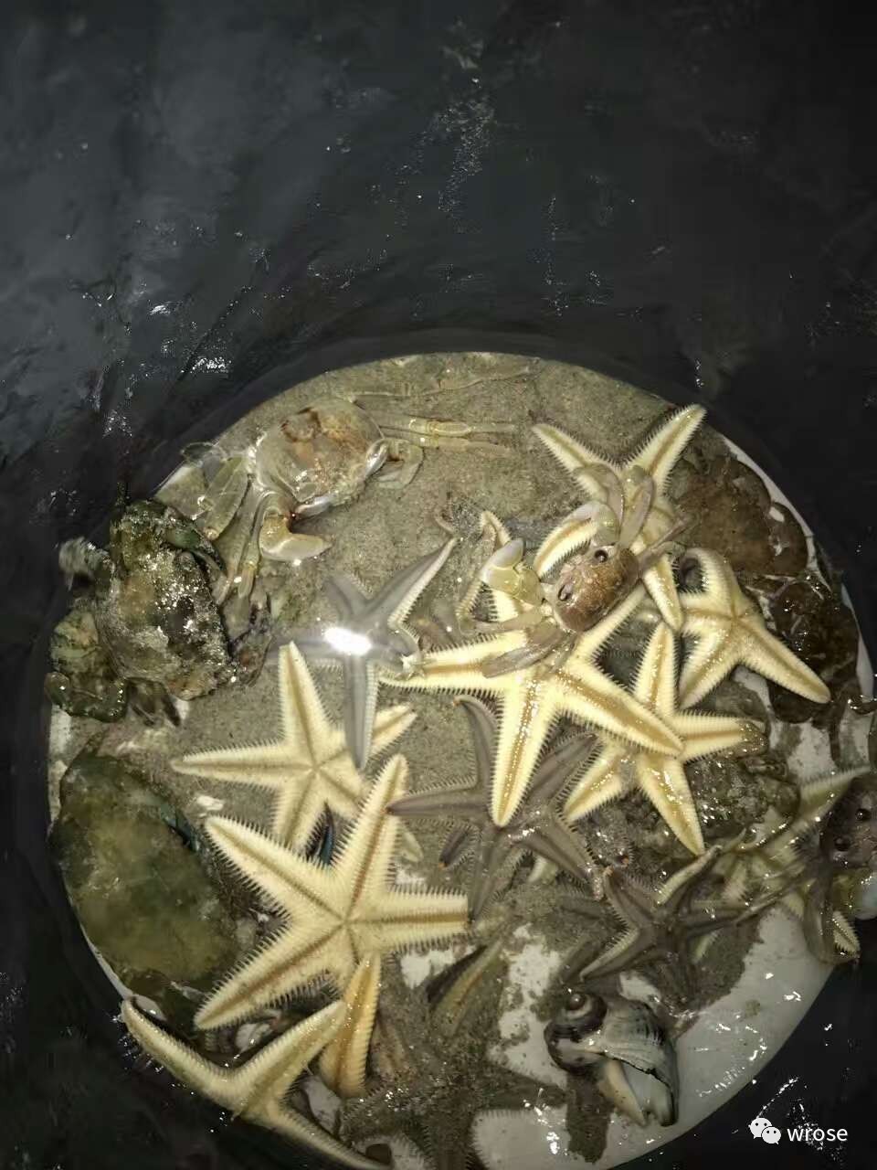 香港徒步行程大全,香港可以徒步吗