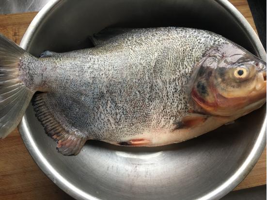 最简单的蒸鱼方法鲈鱼,蒸鱼的料汁怎么调清蒸海鱼