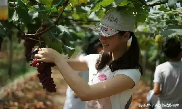 银黄埭，一片湖一个镇一方人！