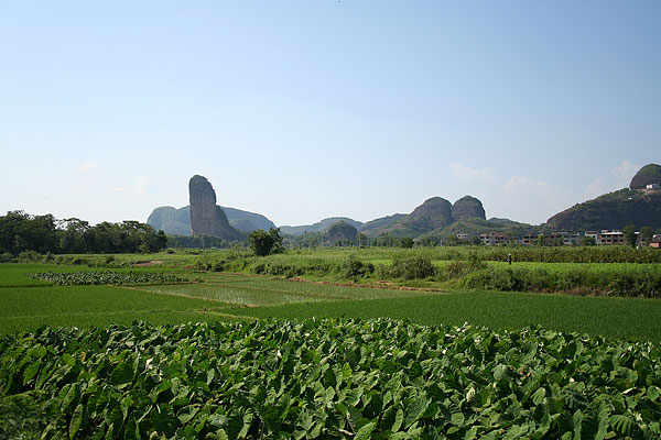 江西十大氧吧,中国天然氧吧城市名单江西