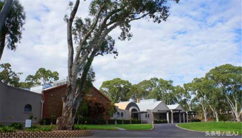 澳洲阿德莱德vs悉尼fc,阿德莱德对澳洲悉尼