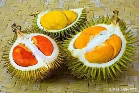 缅甸特产吃过3种算你牛？台州土特产出名啦看看有没有你老家的？网购的土特产都是家乡的味道？忻州特产？