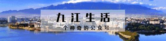 萌出血!九江这几家的撸猫店喊你来撸猫啦!美食与猫兼得!