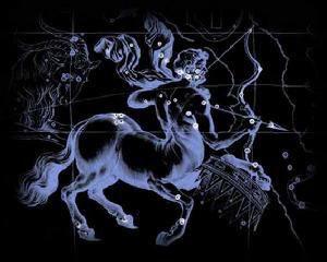 神奇动物在哪里——半人马