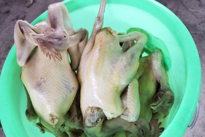 游机鸡是什么东西？吸引一群厨王跑到南宁农村吃