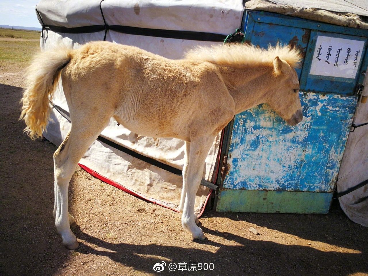锡林郭勒草原星空,天堂草原锡林郭勒
