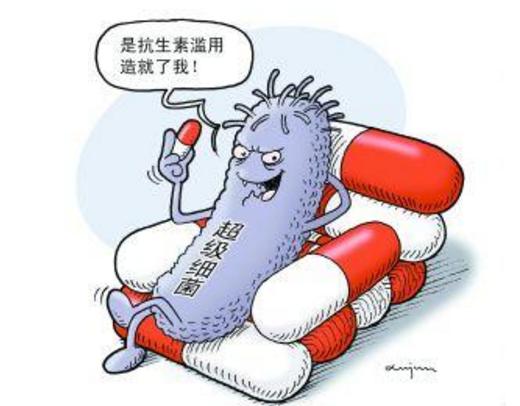 消灭幽门螺旋杆菌，一种植物竟比抗生素管用