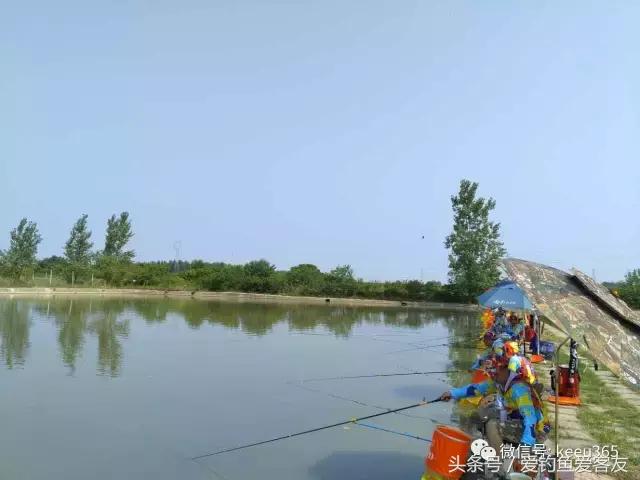 擒大鱼视频完整版,抓获大鱼的视频