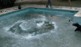 少年,这样你都能站起来啊