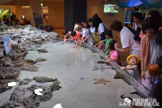 冲绳亲子游最强攻略,冲绳带娃旅游攻略