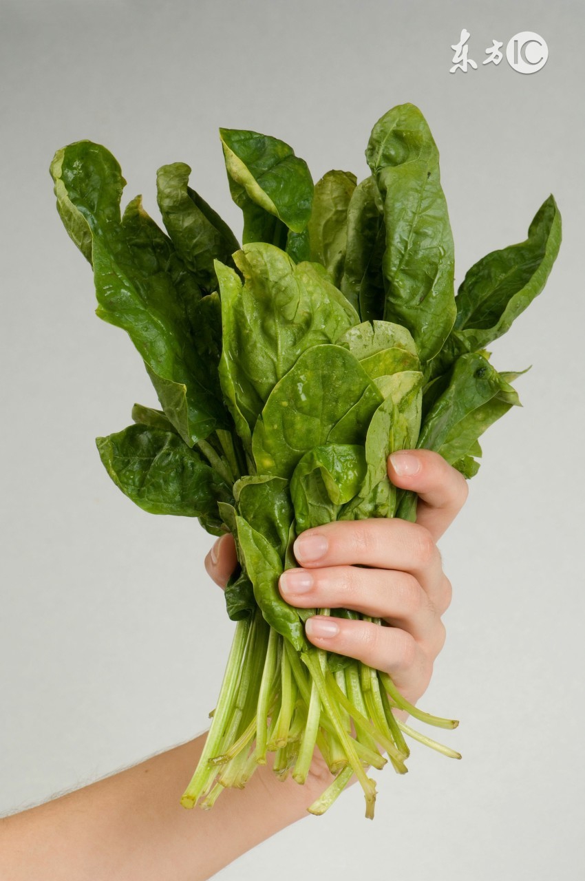 孕妇怀孕十月的食谱,孕妇营养食谱长胎不长肉