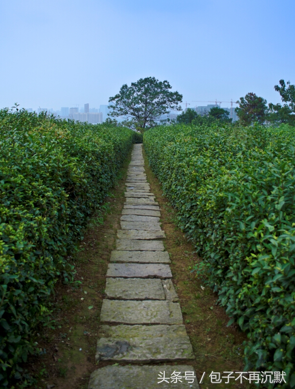 苏杭南浔旅游攻略,苏州南浔安吉五日游攻略