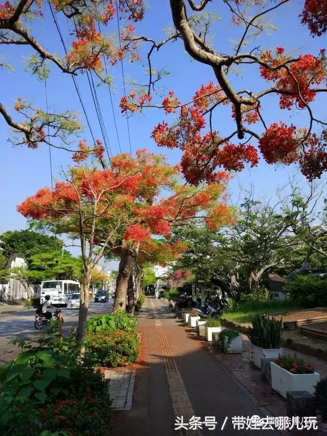 冲绳亲子游最强攻略,冲绳带娃旅游攻略