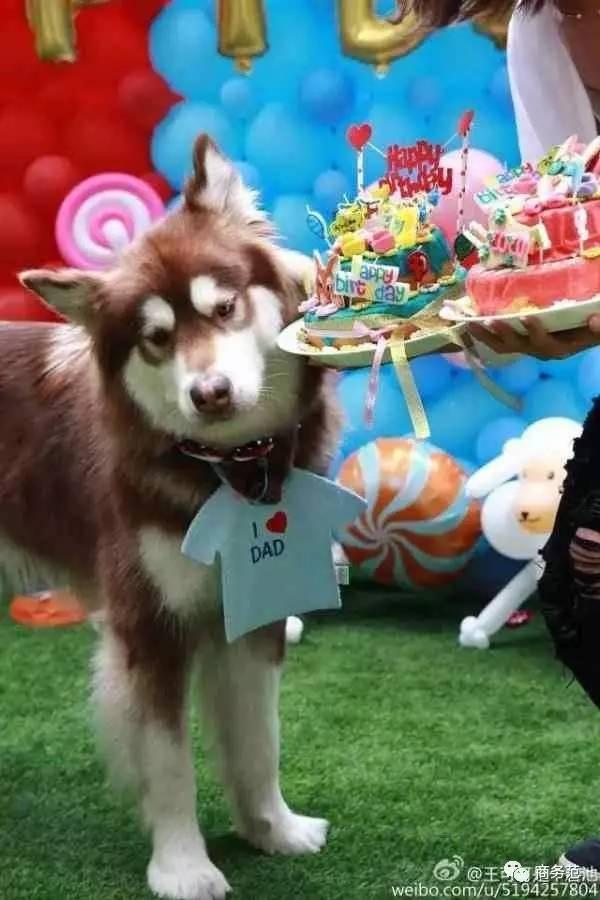 王思聪送王可可视频,王可可怎么遇到王思聪的