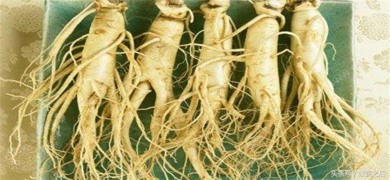 爱酒之人总是自己泡药酒，但药酒的功效您真不一定知道