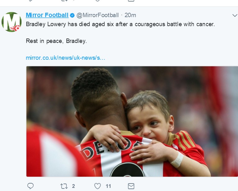 小布拉德利视频,小布拉德利