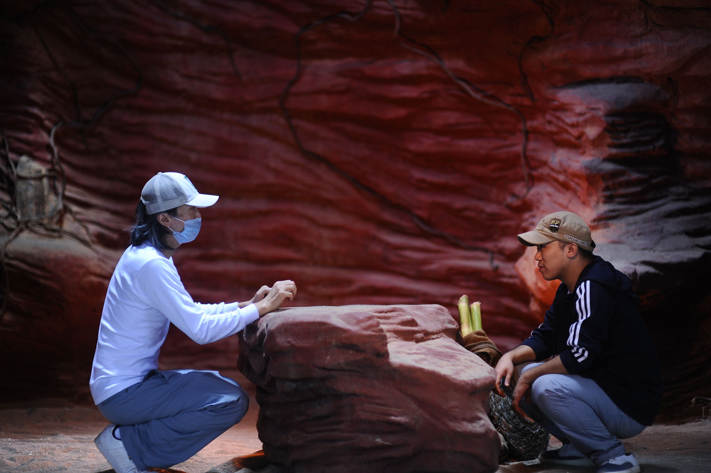 星爷经典食神对决,星爷经典片段食神