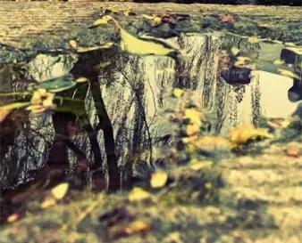 谢谢你高中征文,鲁迅中学初中