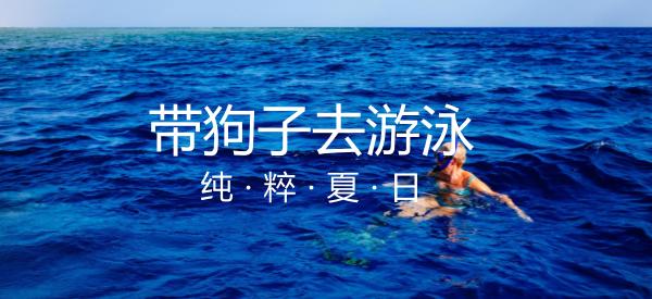 狗狗不敢下河游泳怎么办,狗狗多大就可以游泳了