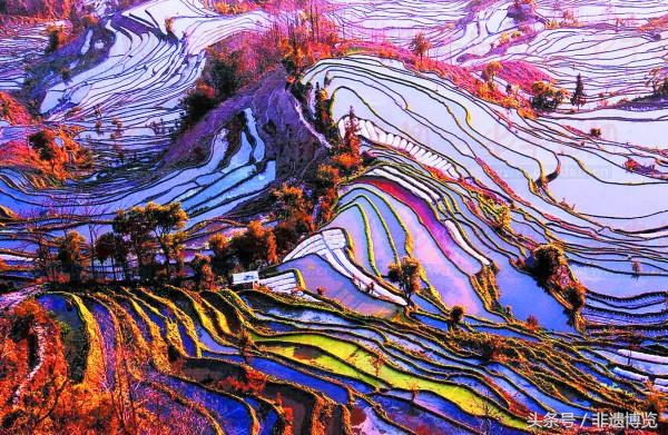 中国人雕刻,大地雕刻元阳梯田