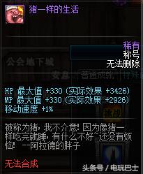 dnf十大稀有级别称号,dnf十大经典称号