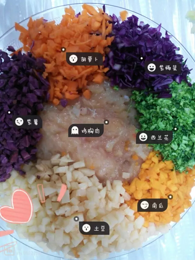 怎么自制比熊狗粮简单方法,比熊自制狗粮配方大全