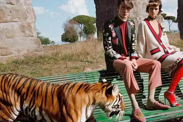 浠ｈ喘gucci鍥藉唴鐜拌揣,浠ｈ喘gucci姣斾笓鏌滀究瀹滃灏戦挶