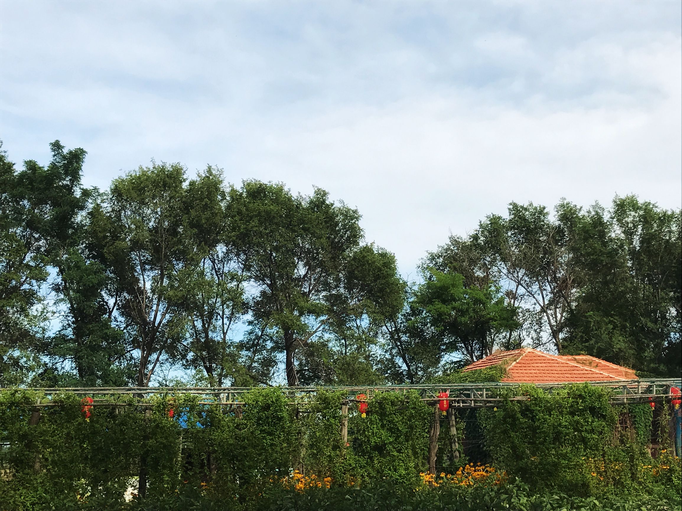 辽宁盘锦金宝度假村,盘锦欢喜岭度假村