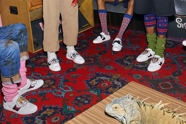 gucci显高小白鞋你爱了吗,gucci今年最流行的小白鞋