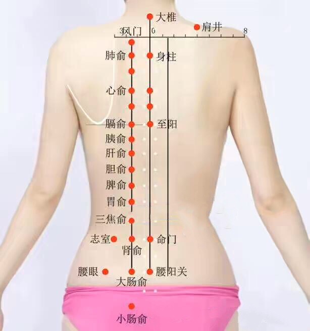 腰椎间盘突出反反复复腰痛怎么办,腰肌劳损腰疼和腰椎间盘突出