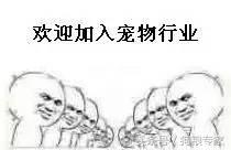 有什么便宜的宠物羊奶粉,宠物便宜的羊奶粉是真正的羊奶吗